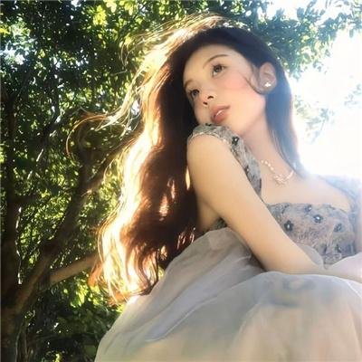轮廓中的真相